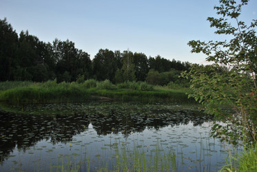 Similar image 21514305