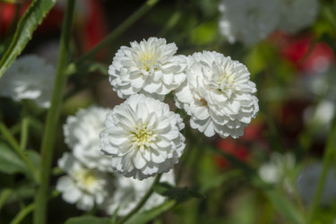 Similar image 21514308