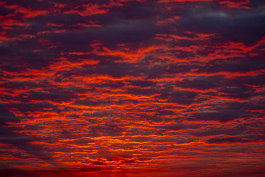 Similar image 21514309