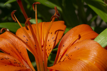 Similar image 21514310