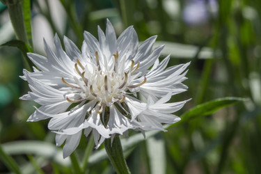 Similar image 21514311