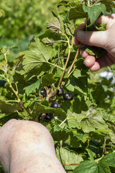 Similar image 21514312