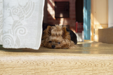 Similar image 21514313