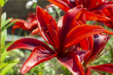 Similar image 21514314