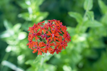 Similar image 21514315