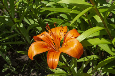 Similar image 21514316