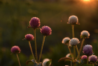 Similar image 21514319