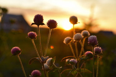 Similar image 21514320