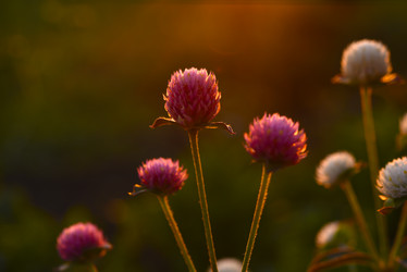 Similar image 21514321