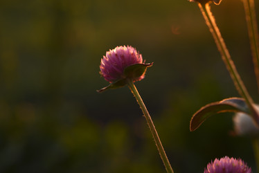 Similar image 21514322