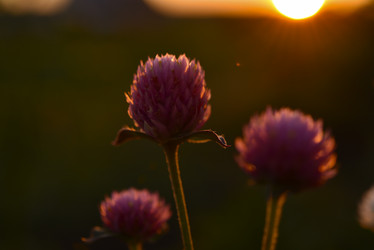 Similar image 21514323