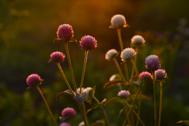 Similar image 21514324