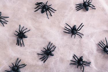 Similar image 21514329