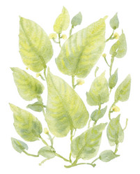 Similar image 21514339