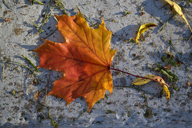 Similar image 21514354