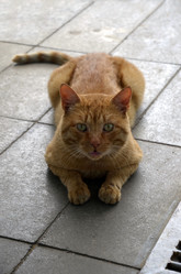 Similar image 21514356