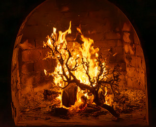 Similar image 21514358