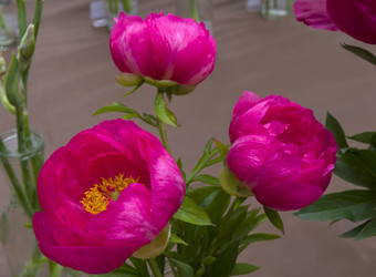 Similar image 21514360