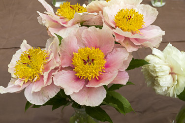 Similar image 21514362