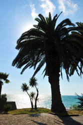 Similar image 21514369