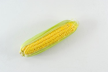 Similar image 21515302