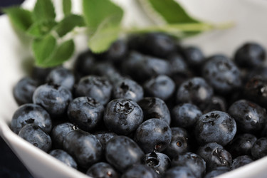 Similar image 21515429