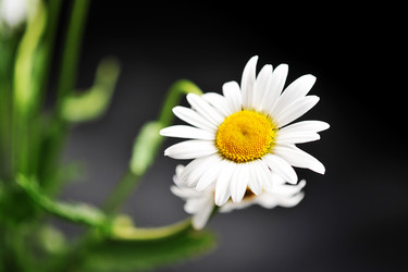 Similar image 21514385