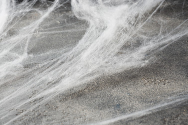 Similar image 21514502