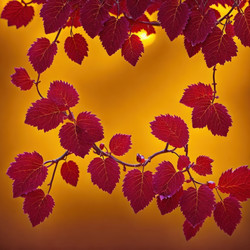 Similar image 21514907