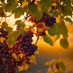 Similar image 21514910