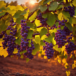 Similar image 21514915