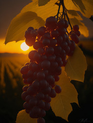 Similar image 21514916