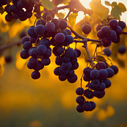 Similar image 21514945