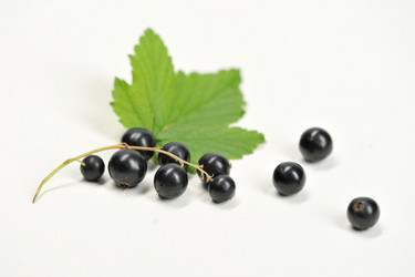 Similar image 21515053