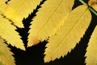 Similar image 21515056