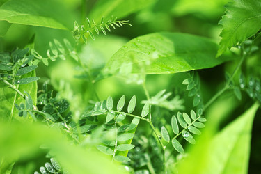 Similar image 21515331