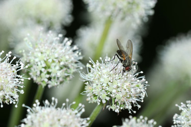 Similar image 21516810