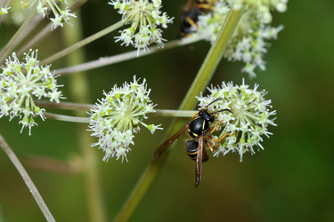 Similar image 21515060