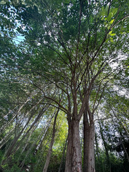 Similar image 21516528