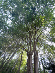 Similar image 21516529