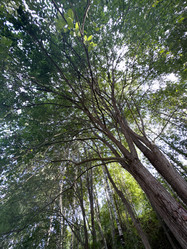 Similar image 21516530