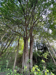 Similar image 21516531