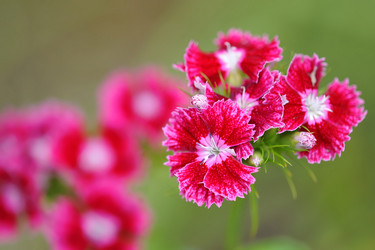 Similar image 21515069