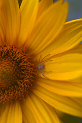 Similar image 21515077