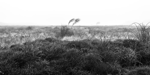 Similar image 21514032