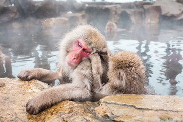 Similar image 21514034