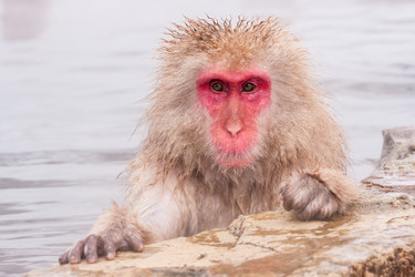 Similar image 21514035