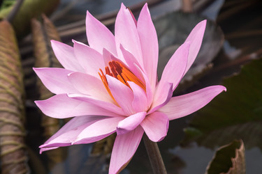 Similar image 21514036