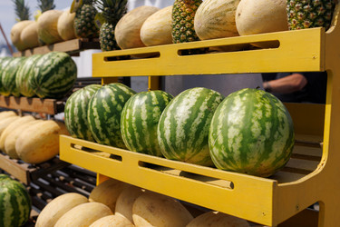 Similar image 21517769