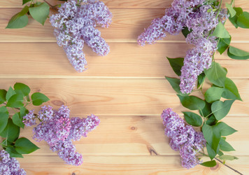 Similar image 21514536